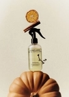 Парфумований спрей для дому Sister&rsquo;s Aroma PUMPKIN SPICE 230 мл - 2