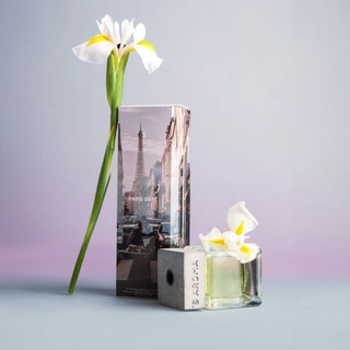 Аромат для дому Sister&rsquo;s Aroma PARIS DATE